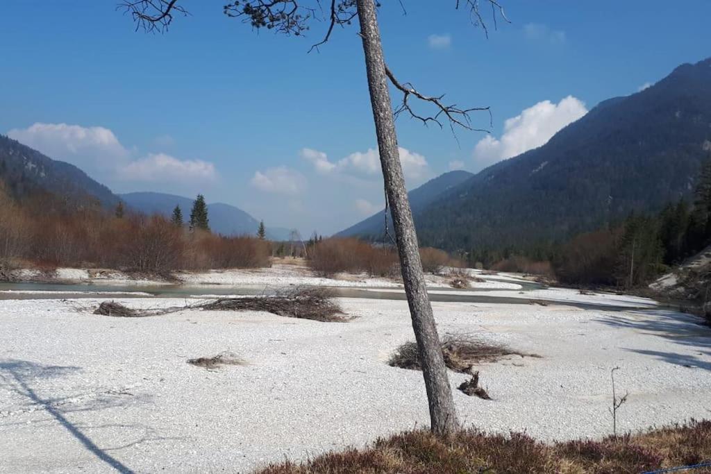 Apartmán Haus Sunnawind Wallgau Exteriér fotografie